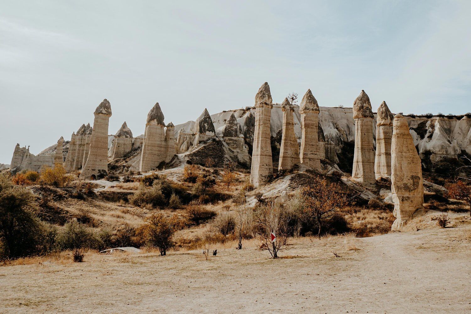 Valles de Capadocia y recorrido por la ciudad subterránea photo 10
