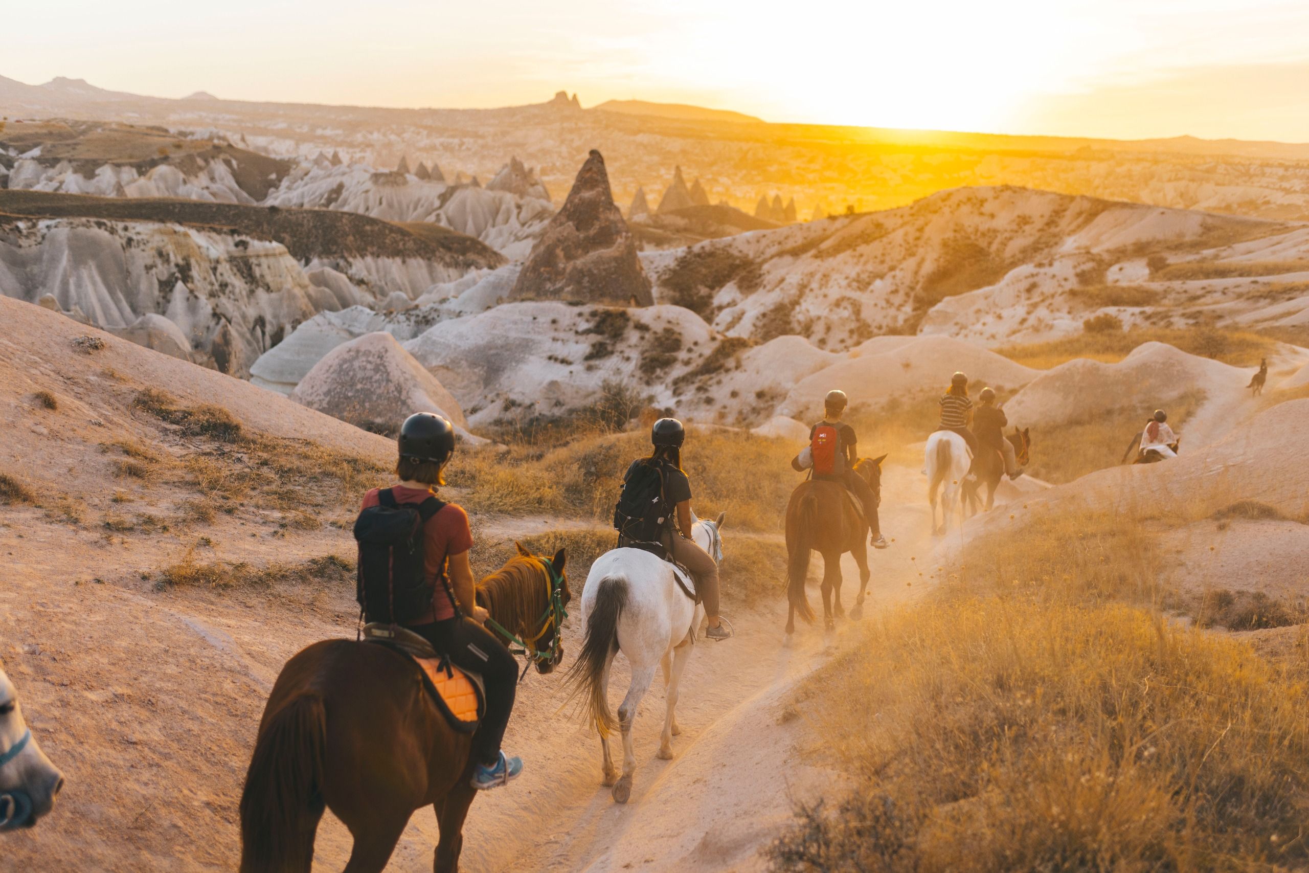 PRIVATE HORSE RIDING TOUR photo 4