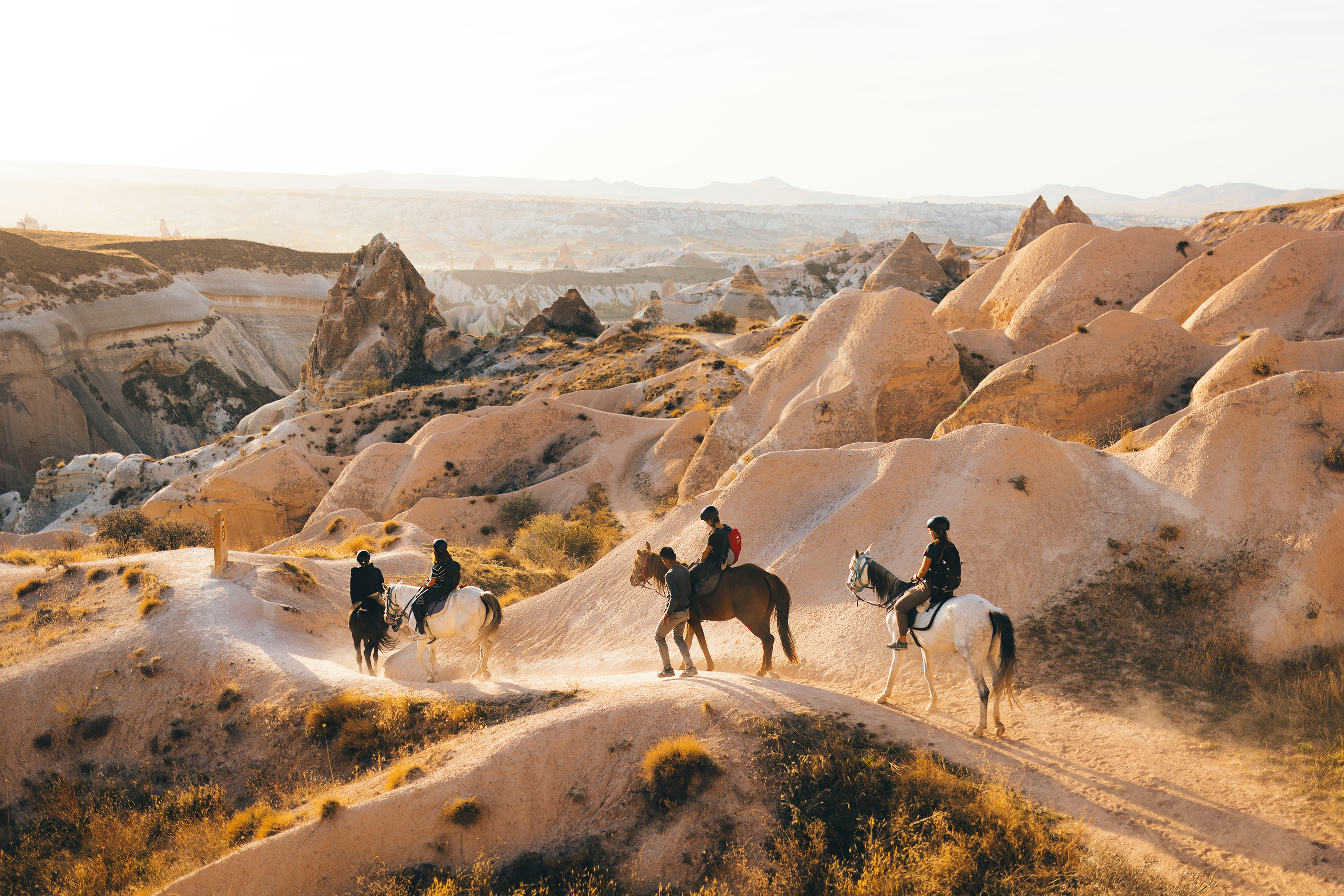 PRIVATE HORSE RIDING TOUR photo 8