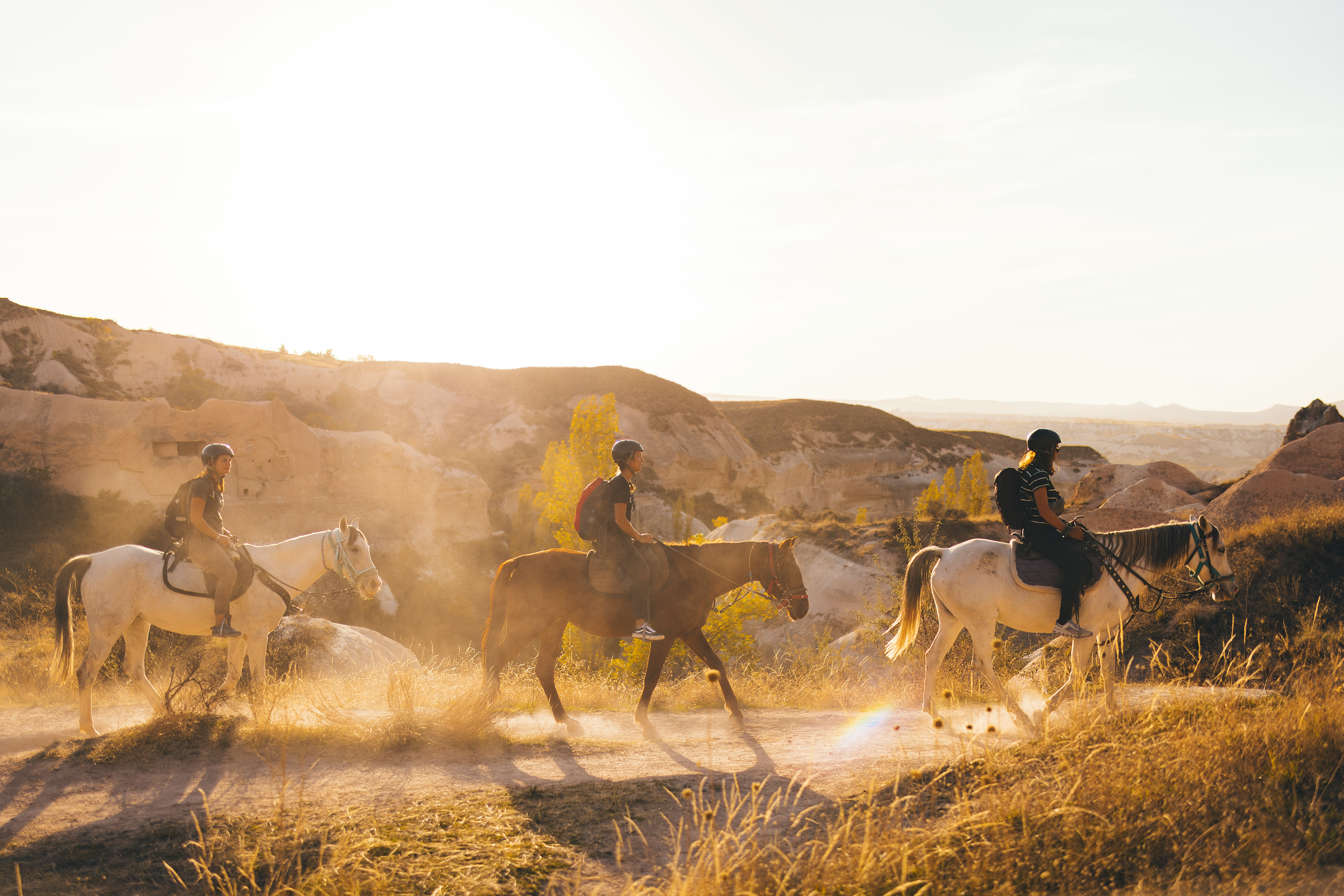 PRIVATE HORSE RIDING TOUR photo 9